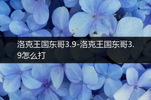 洛克王国东哥3.9-洛克王国东哥3.9怎么打