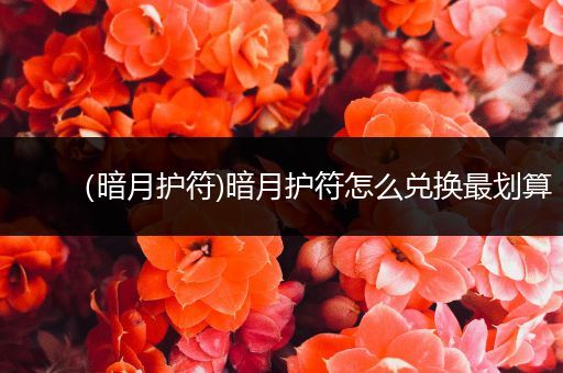 (暗月护符)暗月护符怎么兑换最划算