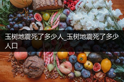 玉树地震死了多少人_玉树地震死了多少人口