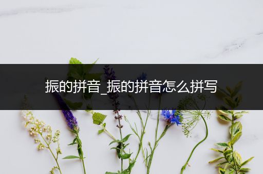 振的拼音_振的拼音怎么拼写