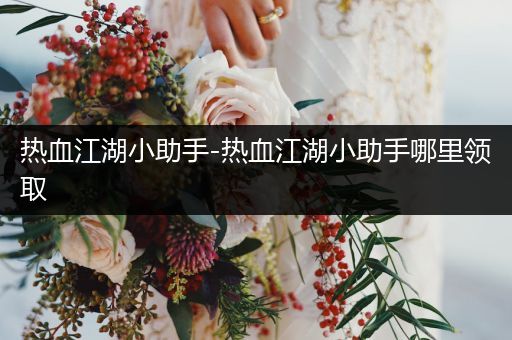 热血江湖小助手-热血江湖小助手哪里领取