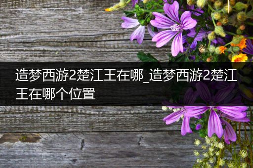 造梦西游2楚江王在哪_造梦西游2楚江王在哪个位置