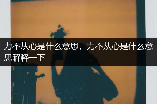 力不从心是什么意思,力不从心是什么意思解释一下