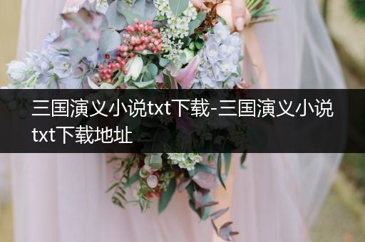 三国演义小说txt下载-三国演义小说txt下载地址