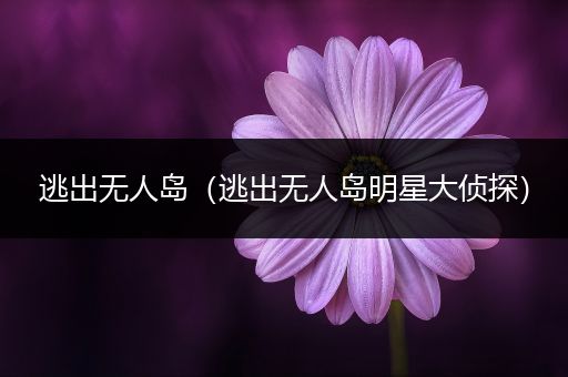 逃出无人岛(逃出无人岛明星大侦探)