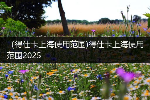 (得仕卡上海使用范围)得仕卡上海使用范围2025