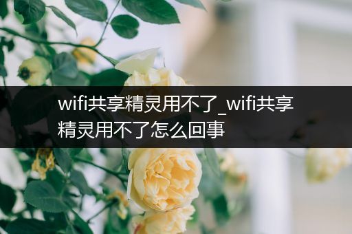 wifi共享精灵用不了_wifi共享精灵用不了怎么回事