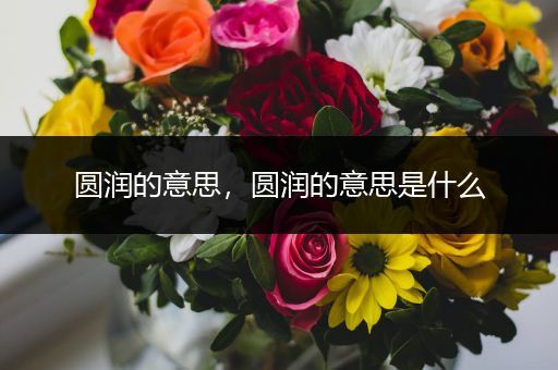 圆润的意思,圆润的意思是什么