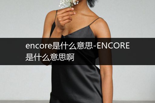 encore是什么意思-ENCORE是什么意思啊