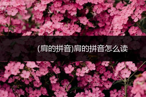 (肩的拼音)肩的拼音怎么读