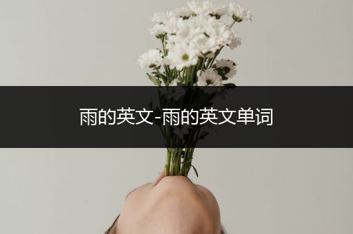 雨的英文-雨的英文单词