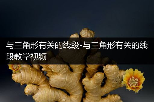与三角形有关的线段-与三角形有关的线段教学视频