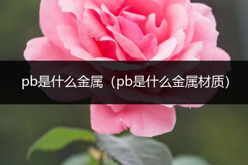 pb是什么金属(pb是什么金属材质)