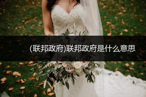 (联邦政府)联邦政府是什么意思