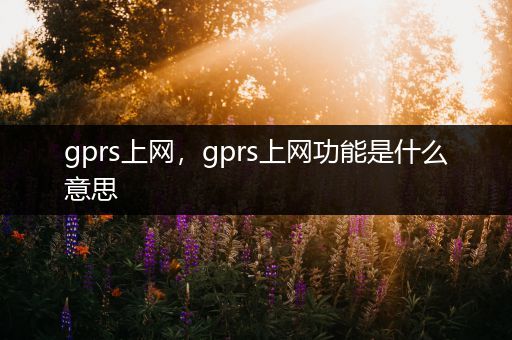 gprs上网,gprs上网功能是什么意思