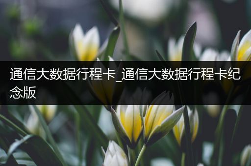 通信大数据行程卡_通信大数据行程卡纪念版