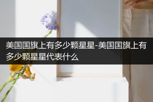 美国国旗上有多少颗星星-美国国旗上有多少颗星星代表什么