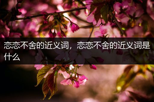 恋恋不舍的近义词,恋恋不舍的近义词是什么