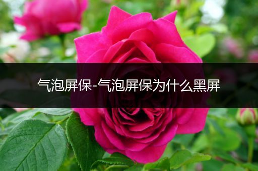 气泡屏保-气泡屏保为什么黑屏