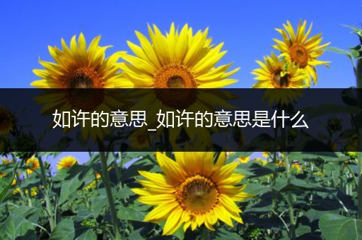 如许的意思_如许的意思是什么