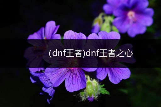 (dnf王者)dnf王者之心