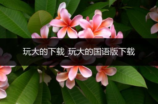 玩大的下载_玩大的国语版下载