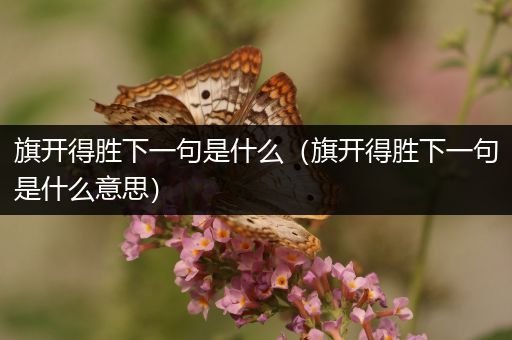 旗开得胜下一句是什么(旗开得胜下一句是什么意思)