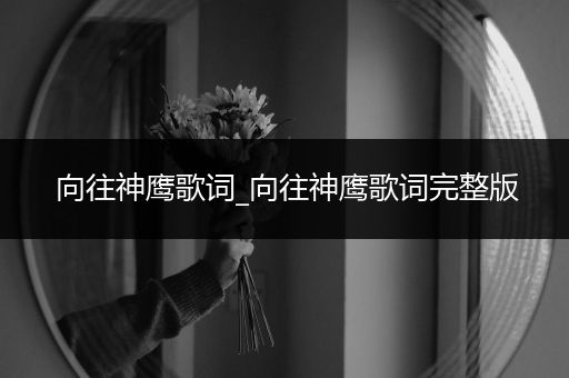向往神鹰歌词_向往神鹰歌词完整版