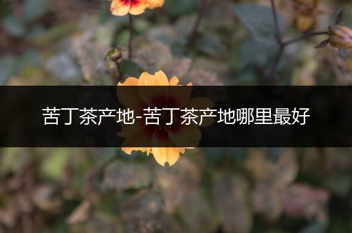 苦丁茶产地-苦丁茶产地哪里最好