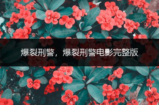 爆裂刑警,爆裂刑警电影完整版