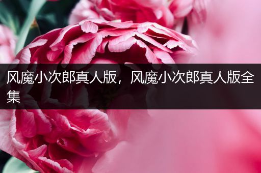 风魔小次郎真人版,风魔小次郎真人版全集