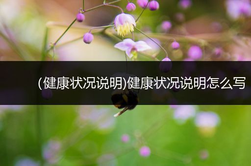 (健康状况说明)健康状况说明怎么写