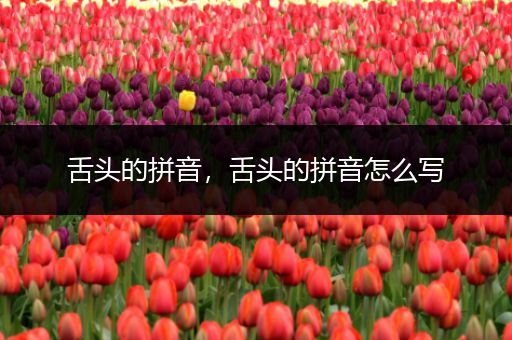 舌头的拼音,舌头的拼音怎么写