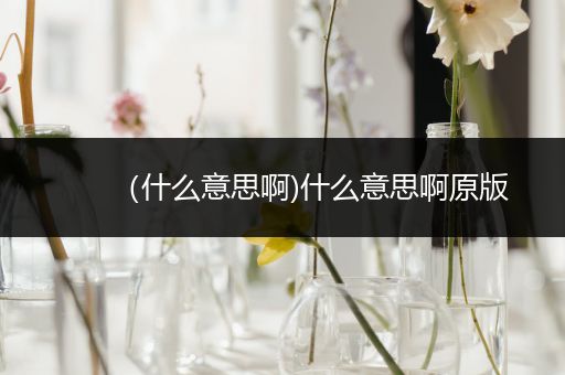 (什么意思啊)什么意思啊原版