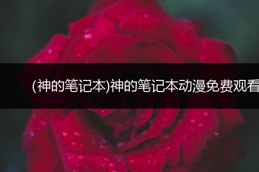 (神的笔记本)神的笔记本动漫免费观看