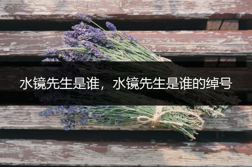 水镜先生是谁,水镜先生是谁的绰号