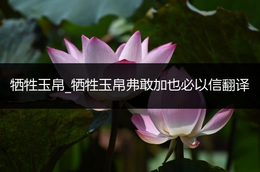 牺牲玉帛_牺牲玉帛弗敢加也必以信翻译