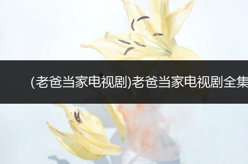 (老爸当家电视剧)老爸当家电视剧全集