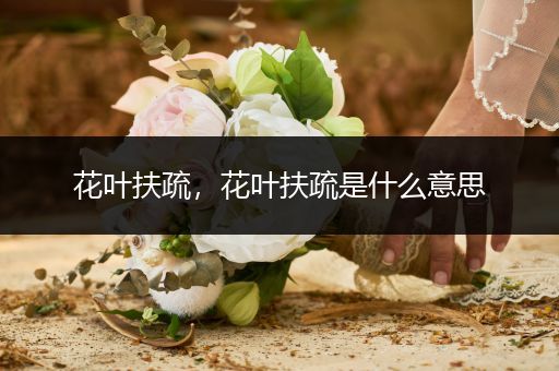花叶扶疏,花叶扶疏是什么意思