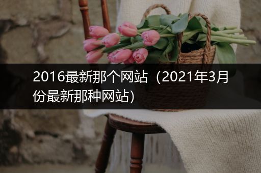 2016最新那个网站(2021年3月份最新那种网站)