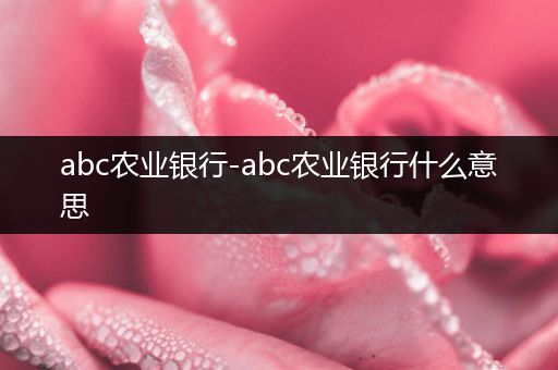 abc农业银行-abc农业银行什么意思