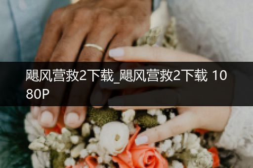 飓风营救2下载_飓风营救2下载 1080P