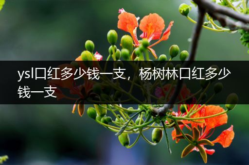 ysl口红多少钱一支,杨树林口红多少钱一支