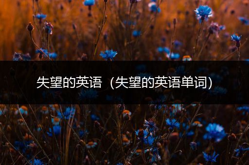 失望的英语(失望的英语单词)