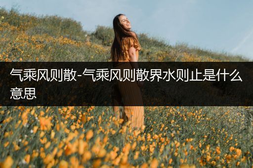 气乘风则散-气乘风则散界水则止是什么意思