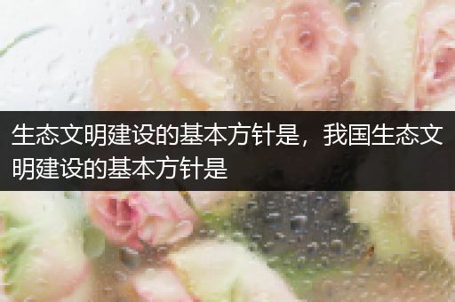 生态文明建设的基本方针是,我国生态文明建设的基本方针是