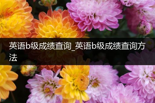 英语b级成绩查询_英语b级成绩查询方法