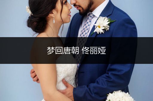 梦回唐朝 佟丽娅