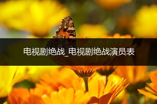 电视剧绝战_电视剧绝战演员表