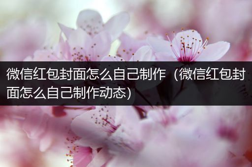微信红包封面怎么自己制作(微信红包封面怎么自己制作动态)
